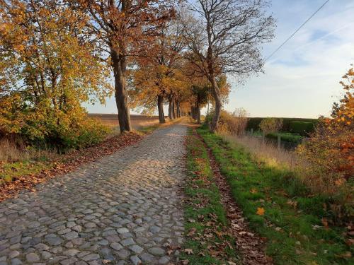 Neubrandenburg in Gützkow, Deutschland