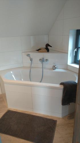 Wohnung Nr 4 in Bargischow, Deutschland