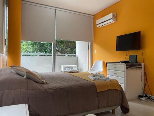 One-Bedroom Apartment image 5