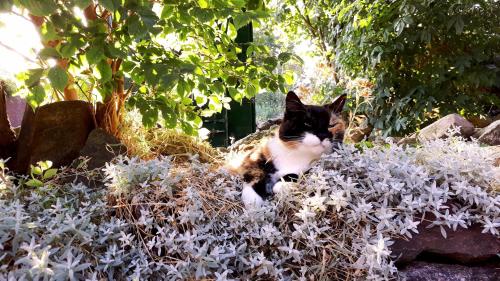 Knusthof - Wohnung 4 in Albertsdorf