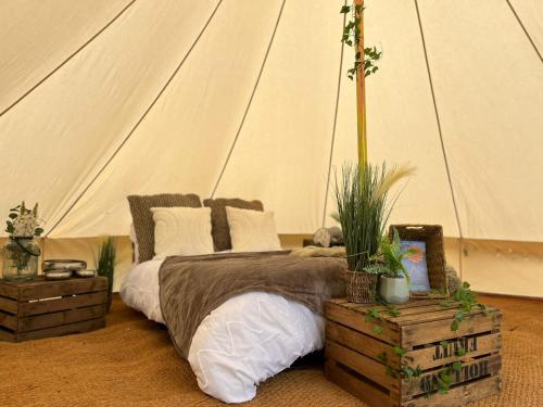 Barefoot Retreats in Hever