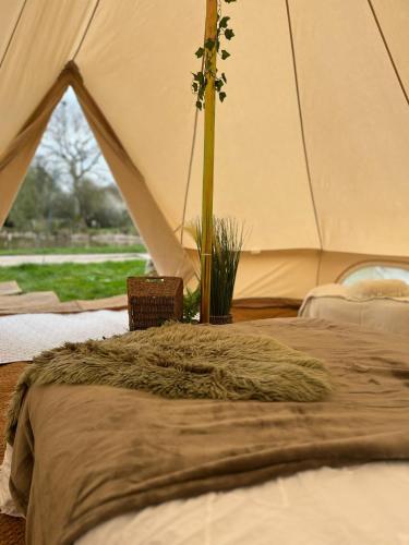 Barefoot Retreats in Hever