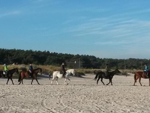 Ferienwohnung Nordstrand 221m von Waldsiedlungsweg entfernt