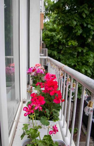 City Center Spacious 2BR near Vitosha Blvd, Sofia (Foto 7)