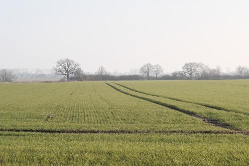 FEWO Ostseeland in Kattenberg