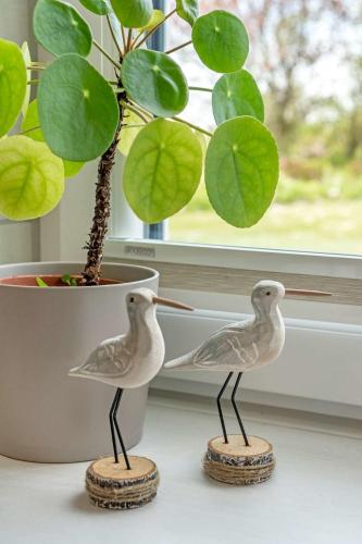 Knusthof Lafrenz - Nordwest in Albertsdorf