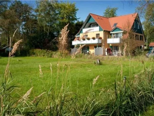 Strandmuschel in Prerow, Deutschland