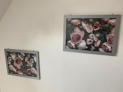 Erica Ferienwohnung auf dem Traumpfad in 埃特靈恩