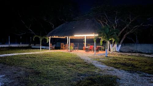 Dārzs, Hotel Zactun in Tikuch