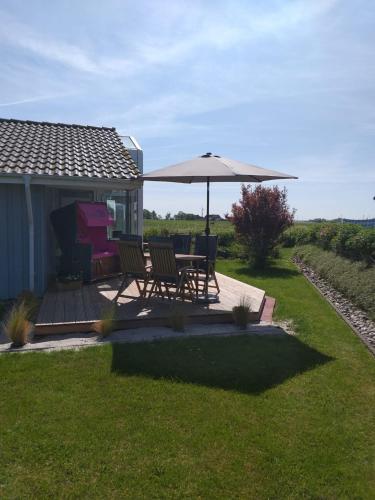 Modernes Ferienhaus direkt an der Nordsee in Wesselburenerkoog