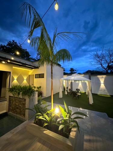 Entre bosques in Palicare