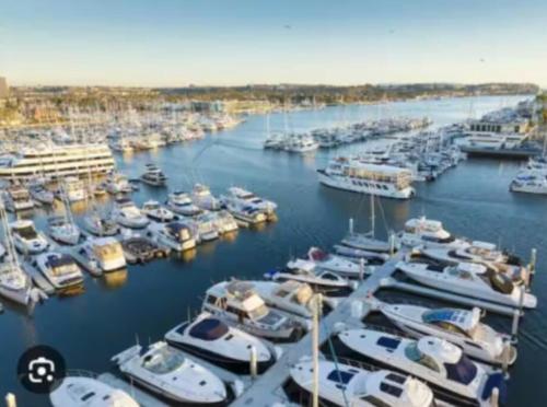 Stunning 2BR Penthouse Patio & View Venice MDR