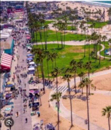 Stunning 2BR Penthouse Patio & View Venice MDR, Los Angeles (fotografie 8)
