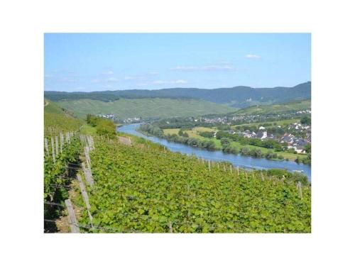 Iekārtas, Holiday home with 4 rooms and terrace in Osann-Monzel