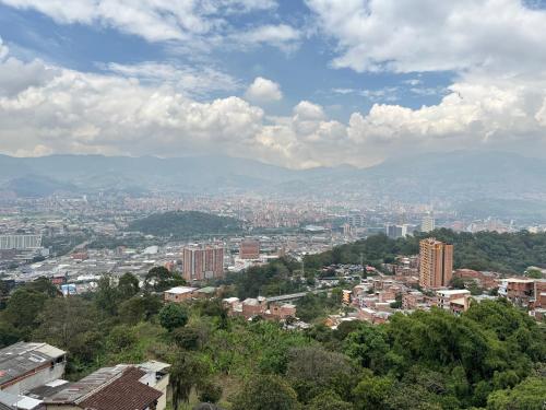 Alto de palmas
