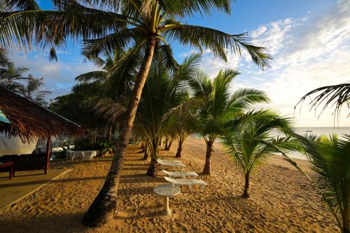 Surrounding environment, Carabao Island Beach Camp in Romblon