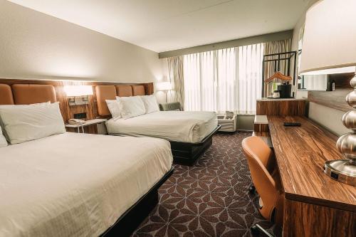 วินด์แฮม การ์เดน วิลเลียมสเบิร์ก บุช การ์เดนส์ แอเรีย (Wyndham Garden Williamsburg Busch Gardens Area) in วิลเลียมสเบิร์ก (VA)