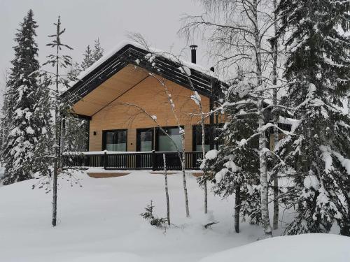 Exterior view, Luokantupa in Syote