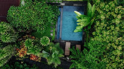 Sari Bamboo Villas - Tap to explore photos