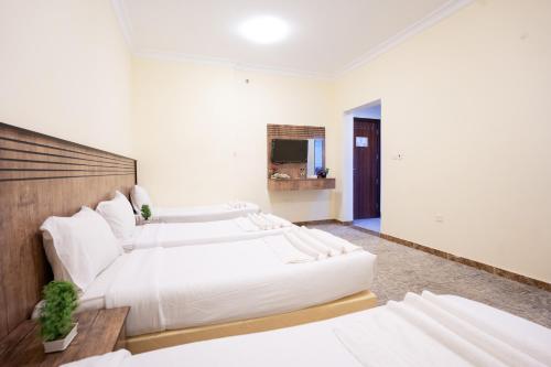 Saif Plus 3 Hotel by Orvana - image 3