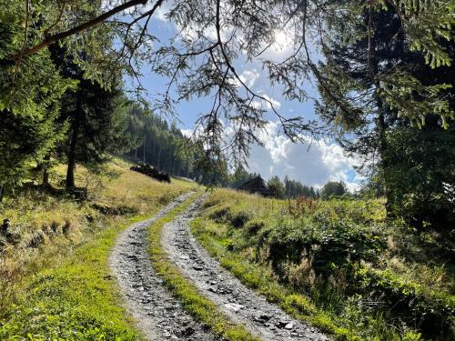Tobadillerhof - image 14