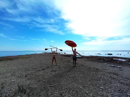 Metsamarja in Padaste