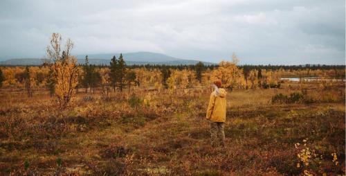 Lapland Hotels Hetta - image 5