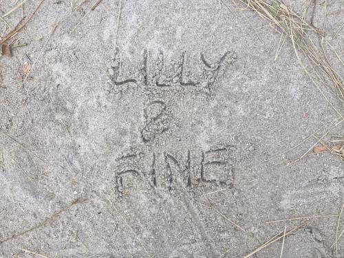 Lilly & Fine – khách sạn tại Barth