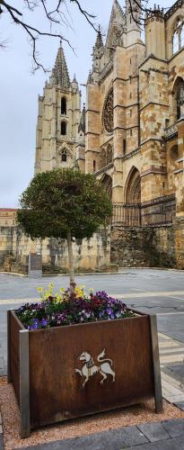 Leon Hostel, León (fotografie 10)