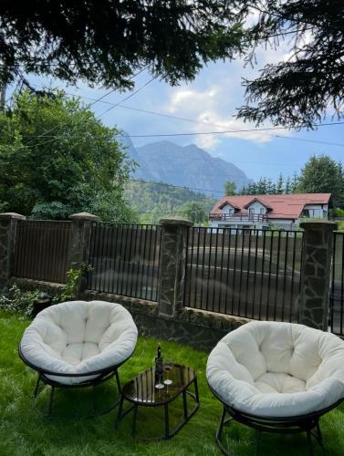 Lucomi Chalet - For groups - 5 bedrooms in Poiana Tapului