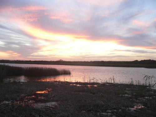 Smooth Sailing @ The Bridge