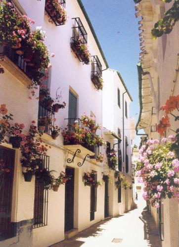  La Posada Real, Priego de Córdoba bei El Higueral