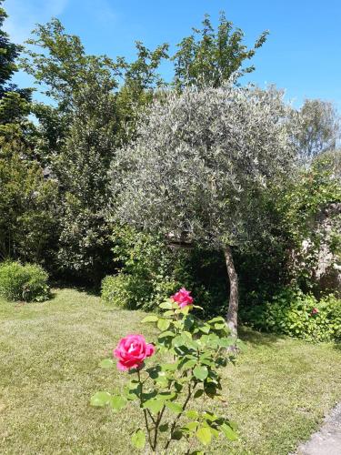 rest at last in Vessy