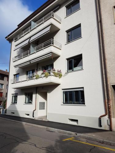 ESC-Basel-Flat - Whole rent to save our MUSICAL THEATER BASEL, Bâle (photo 3)