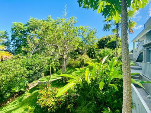 Les Orchidées de Sainte-Anne (Les Orchidees de Sainte-Anne) in Sainte Anne