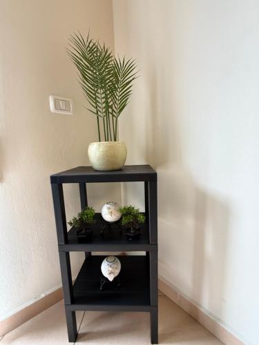 One-Bedroom Apartment image 8