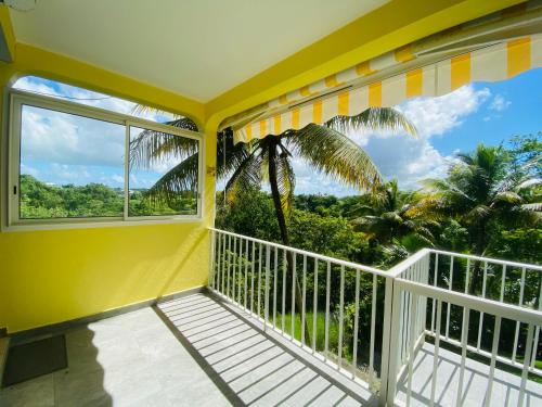 Les Orchidées de Sainte-Anne (Les Orchidees de Sainte-Anne) in Sainte Anne