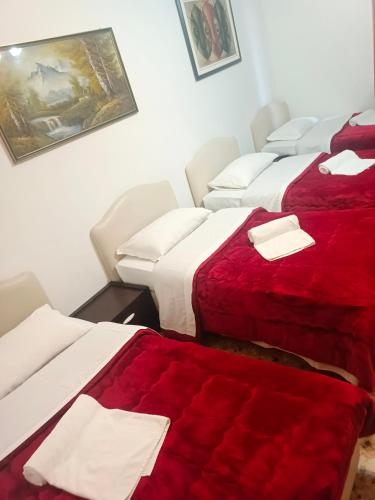 Host Roma – Rome