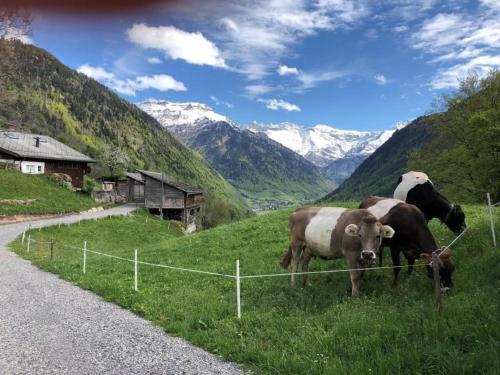  Berghof-Gufel in Engi
