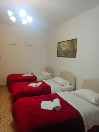 Host Roma – Rome