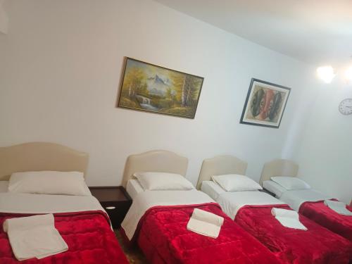 Host Roma – Rome