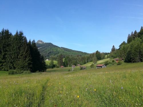 Fewo Vilstalsäge in Pfronten, Deutschland