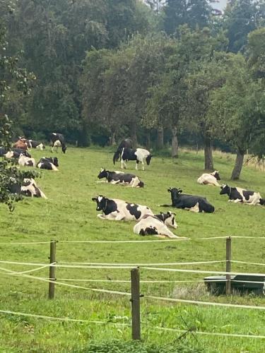 Helchenhof in Überlingen, Deutschland