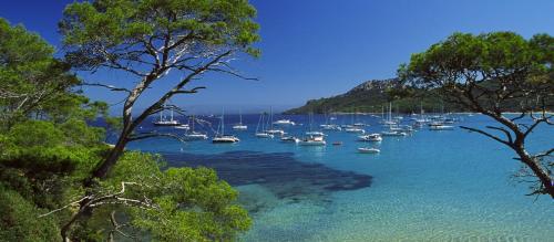 Evasion ensoleillée île de Porquerolles Superbe T3 (Evasion ensoleillee ile de Porquerolles Superbe T3) in Porquerolles