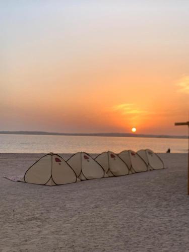 اجمل تخيم في اجمل مناطق طبعيه