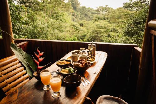 Toucan Lodge
