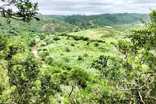 Surrounding environment, Farmstay at off-grid self sufficient Heartwood Homestead in Quenera North
