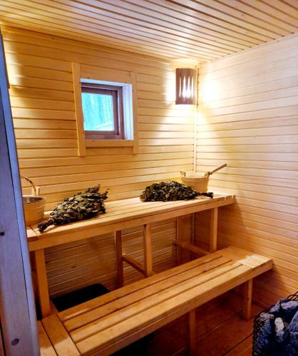 Ezera Roze Lake Cabin Sauna in Rusona