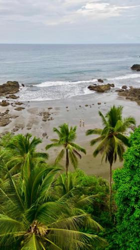 The Humpback Turtle in Bahia Solano (Choco)