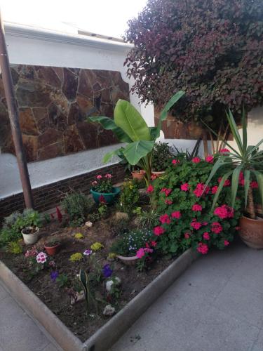 حديقة, El Descanso in Cochabamba